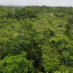 listing image thumbnail with ID 66286