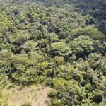 listing image thumbnail with ID 64252