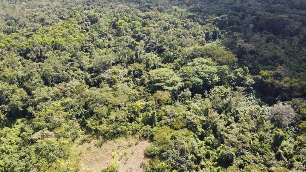 listing image with ID 64252