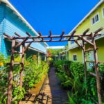 listing image thumbnail with ID 66391