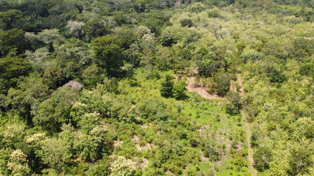 listing image with ID 64225