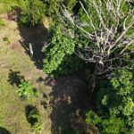 listing image thumbnail with ID 63893