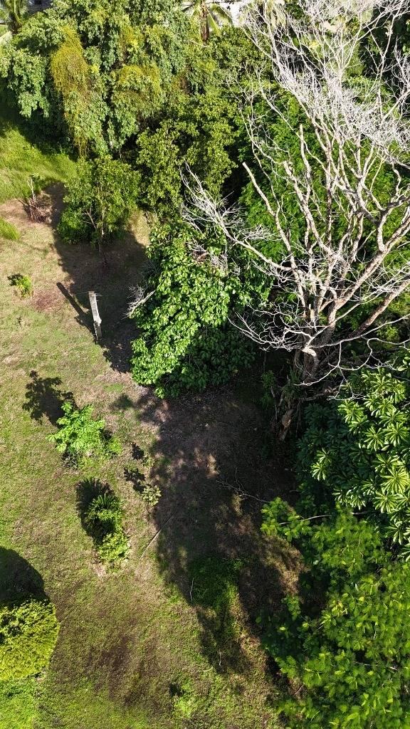 listing image with ID 63893