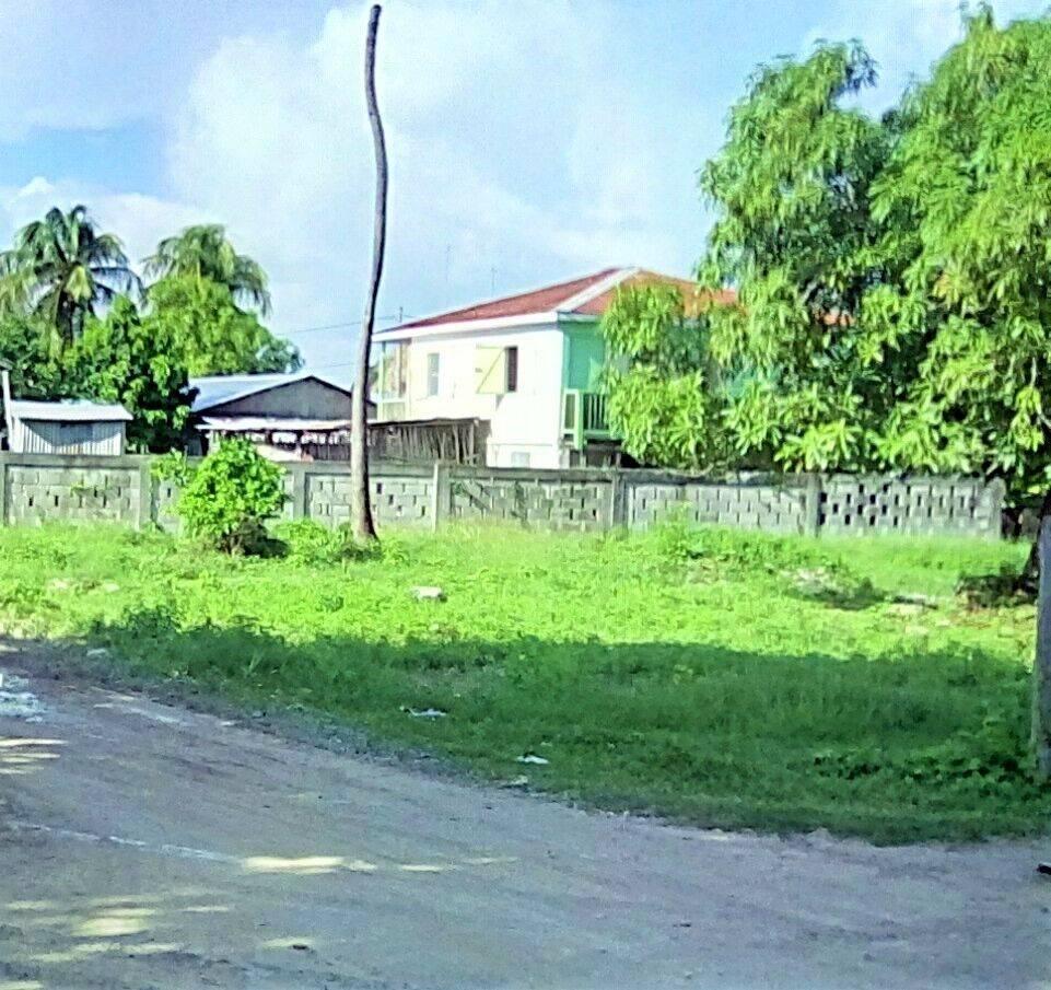 listing image with ID 66603