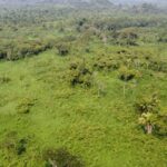 listing image thumbnail with ID 64183