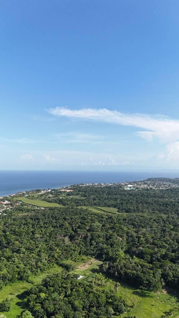 listing image with ID 63897