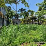 listing image thumbnail with ID 67503