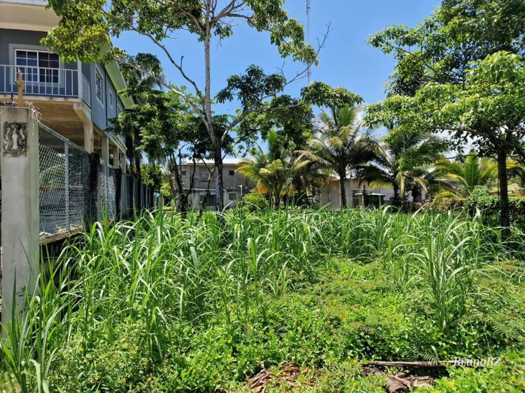 listing image with ID 67503