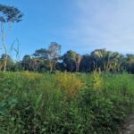 listing image thumbnail with ID 64032