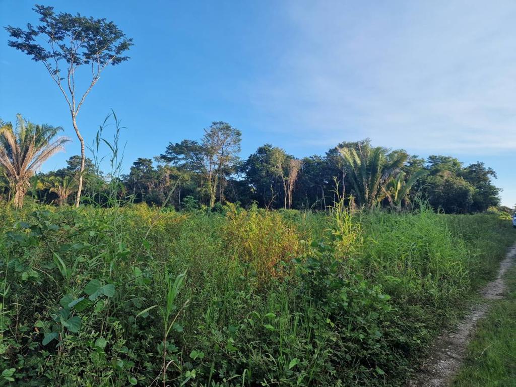 listing image with ID 64032