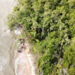 listing image thumbnail with ID 64025