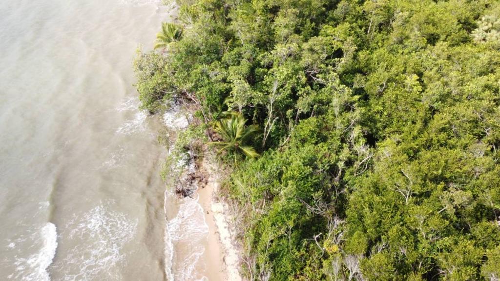 listing image with ID 64025