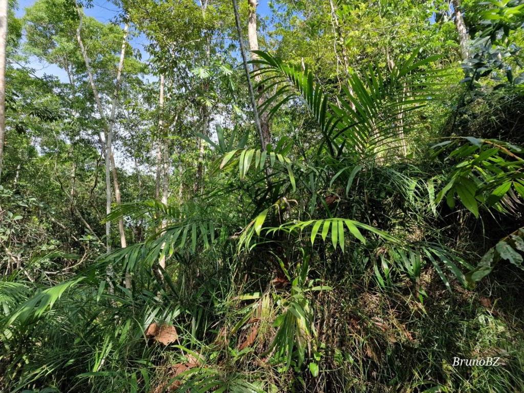 listing image with ID 63948