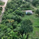 listing image thumbnail with ID 67178