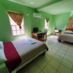 listing image thumbnail with ID 65488