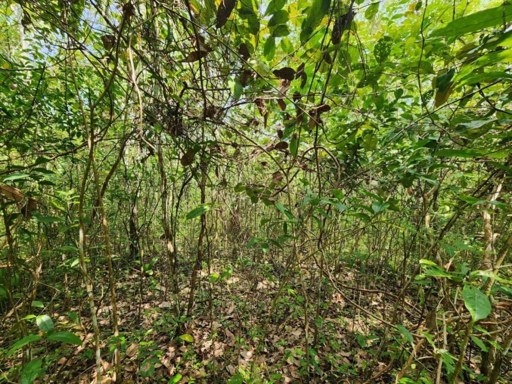 listing image with ID 64892