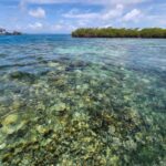 listing image thumbnail with ID 66838