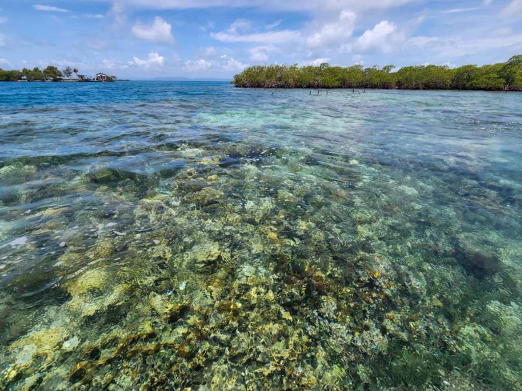 listing image with ID 66838