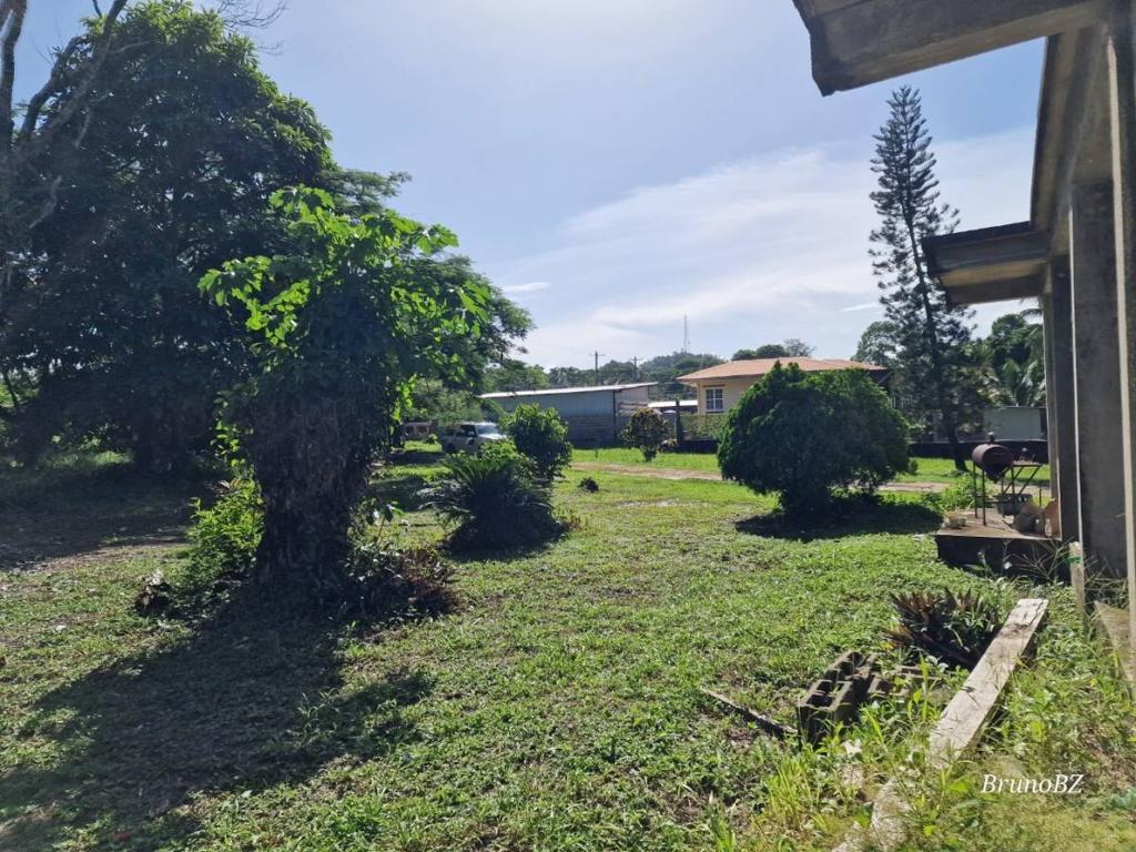 listing image with ID 63903