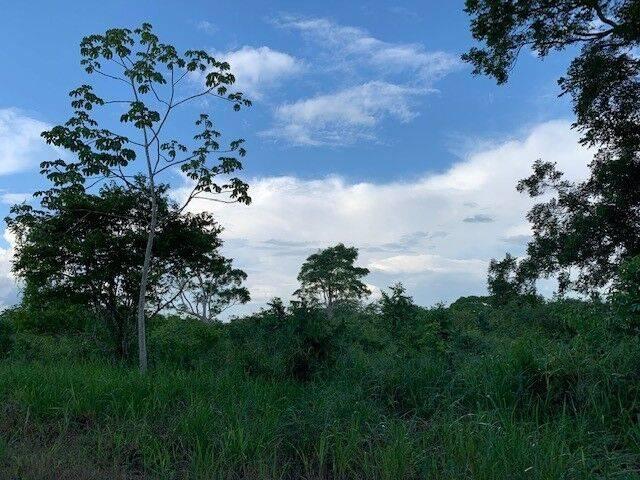 listing image with ID 65027