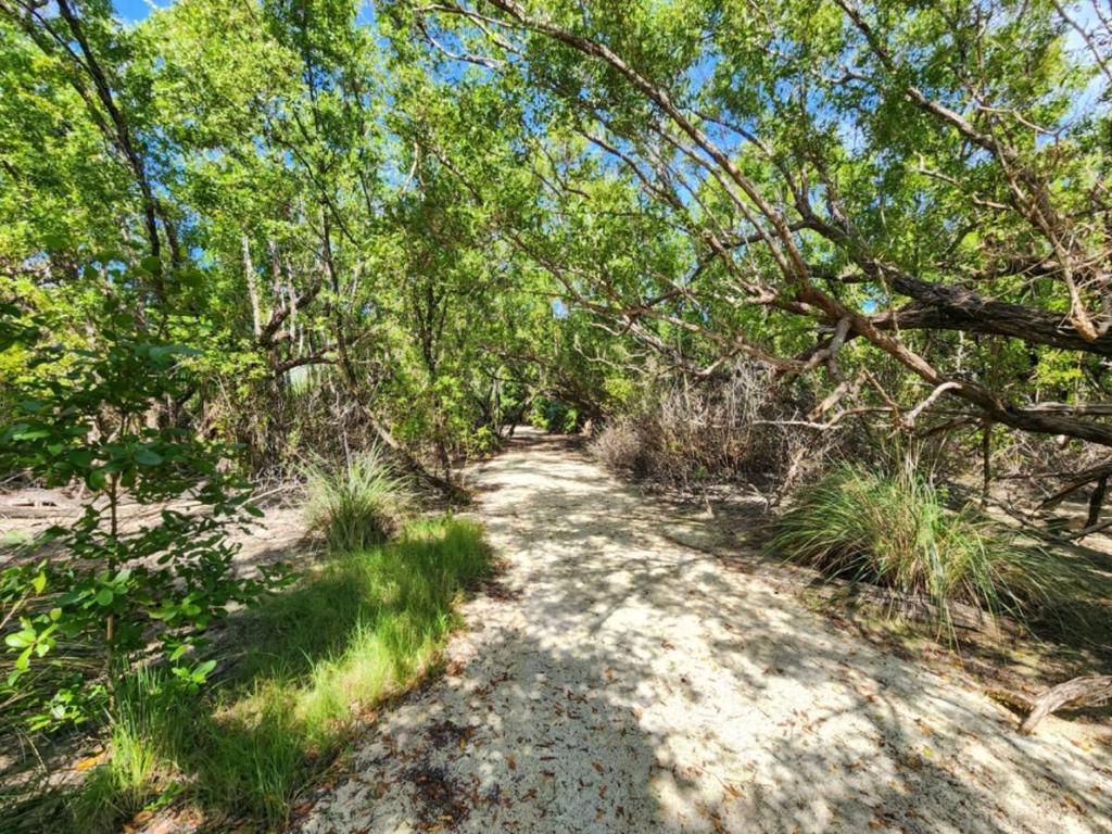 listing image with ID 65966