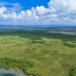 listing image thumbnail with ID 63752