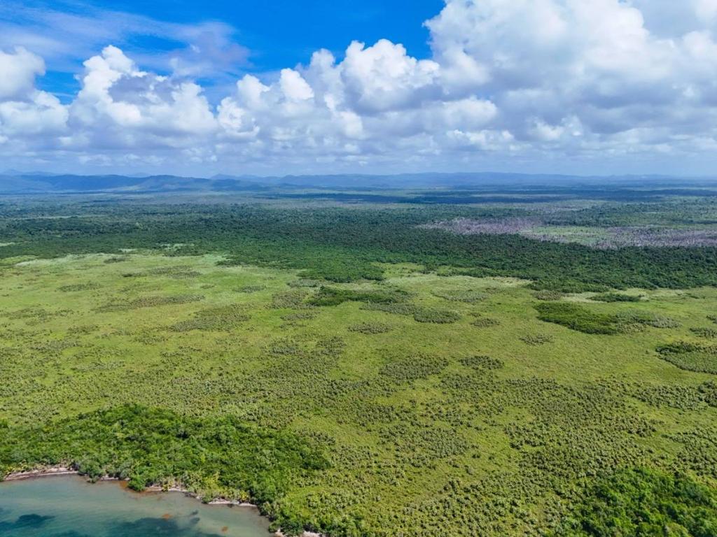 listing image with ID 63752