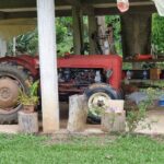 listing image thumbnail with ID 67363