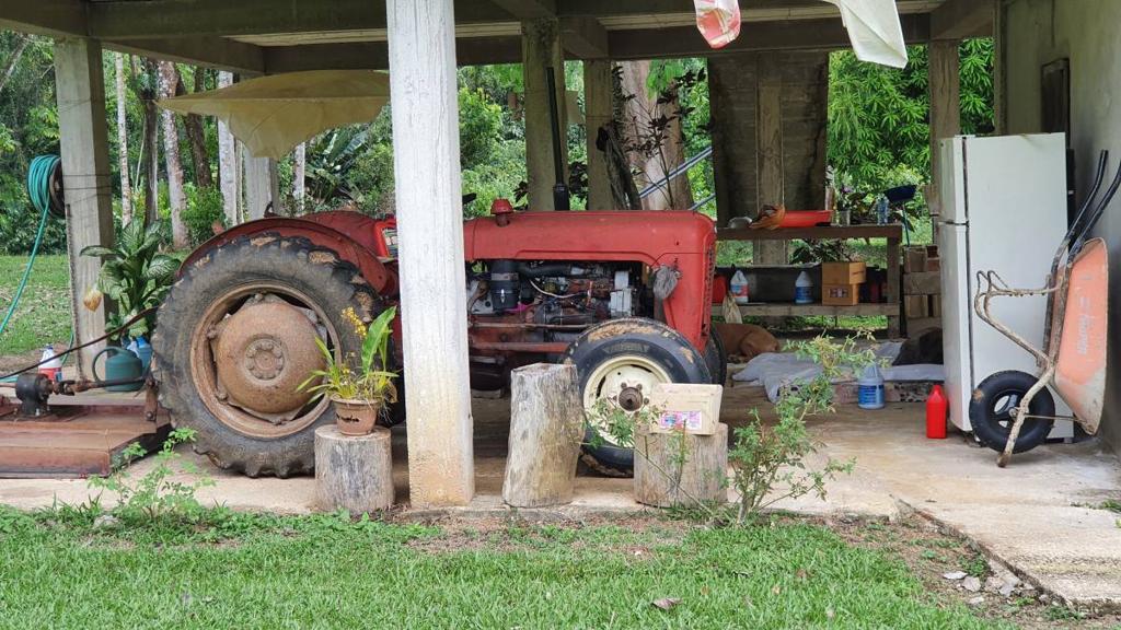 listing image with ID 67363