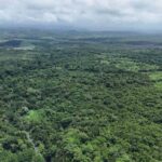 listing image thumbnail with ID 65231