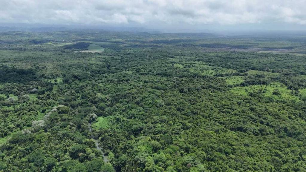 listing image with ID 65231