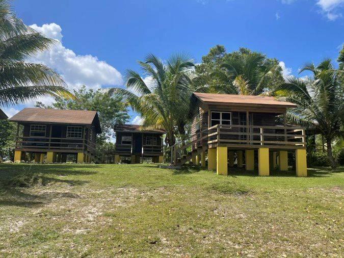 listing image with ID 67453