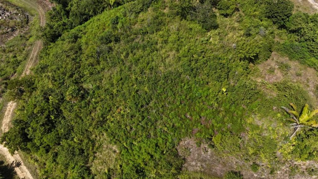 listing image with ID 63683