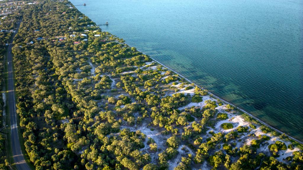 listing image with ID 68724