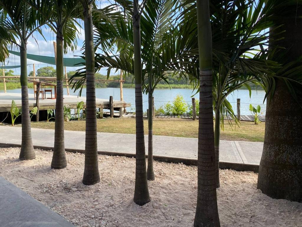 listing image with ID 66718