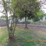 listing image thumbnail with ID 65664