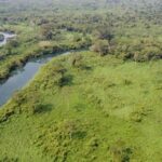 listing image thumbnail with ID 64190