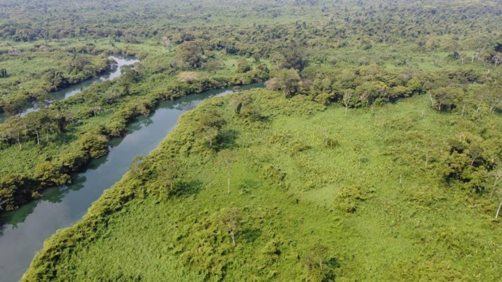 listing image with ID 64190