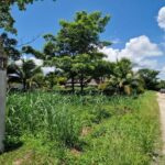 listing image thumbnail with ID 67508