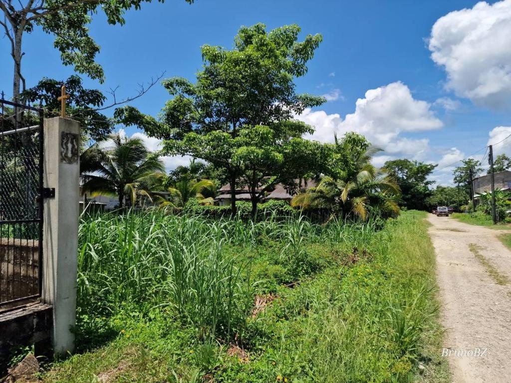 listing image with ID 67508