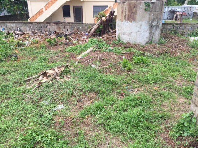 listing image with ID 64365