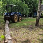 listing image thumbnail with ID 64204