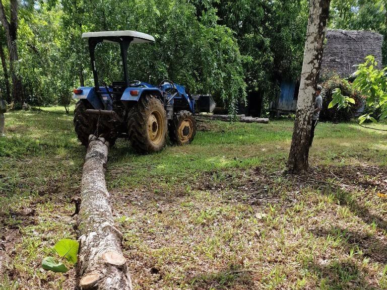 listing image with ID 64204