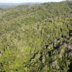 listing image thumbnail with ID 67756