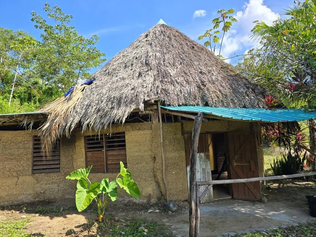 listing image with ID 66163