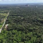 listing image thumbnail with ID 66153