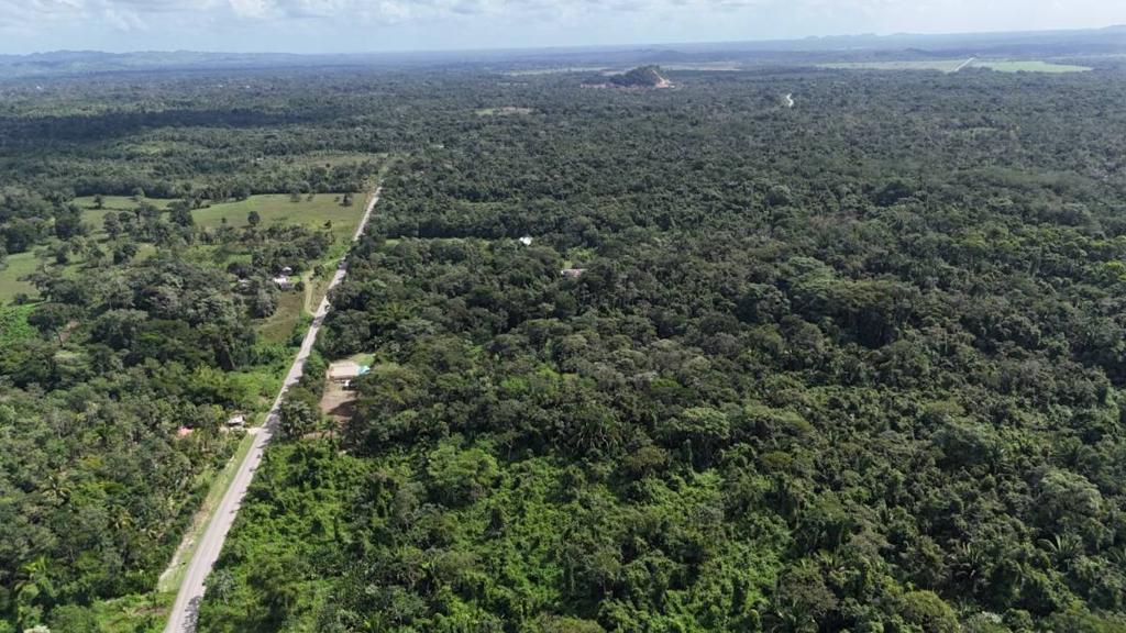 listing image with ID 66153