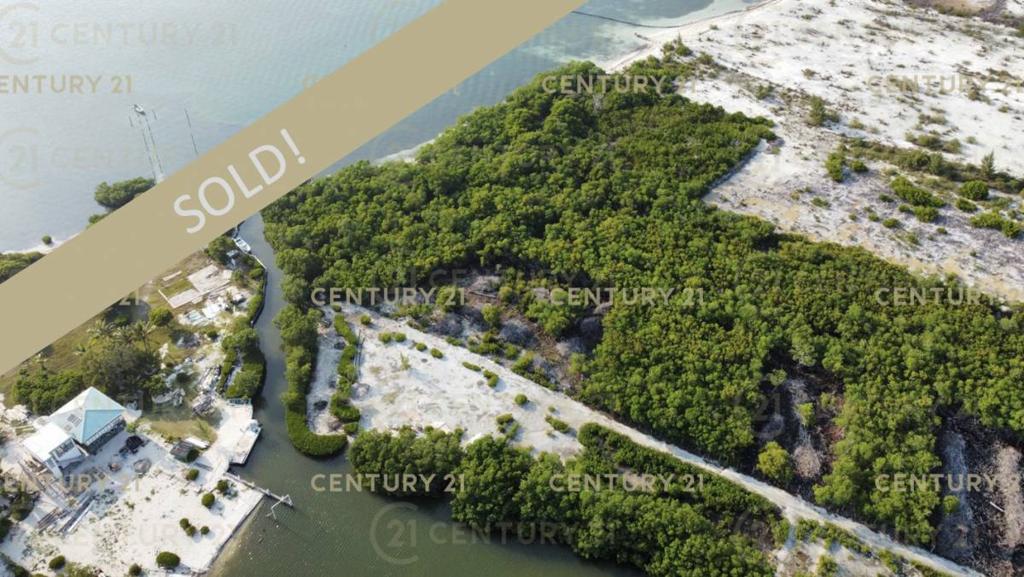 listing image with ID 64560