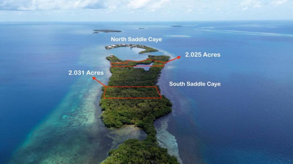 listing image with ID 65837