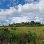 listing image thumbnail with ID 68241